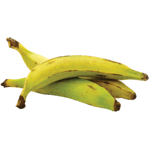 Plantain Banana