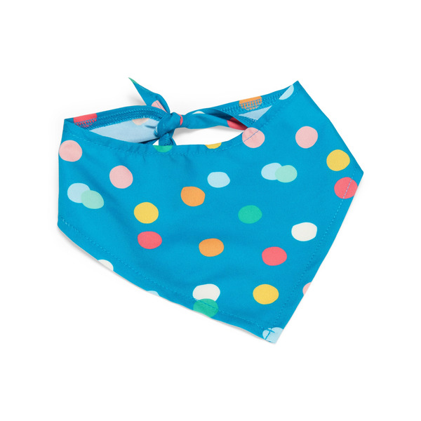 Youly Birthday Party Set for Dogs, L/XL - Blue