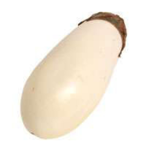 Baby White Eggplant