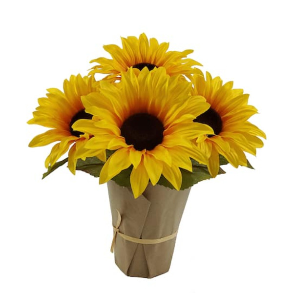 Ashland Potted Sunflower
