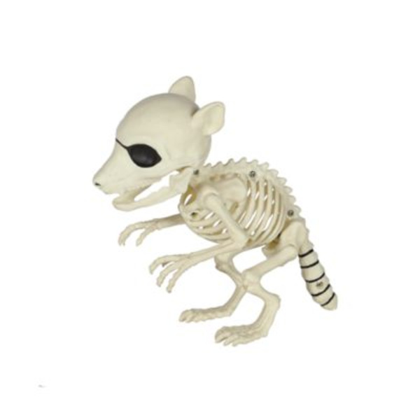 Red Shed 6.5 in. Baby Raccoon Halloween Skeleton