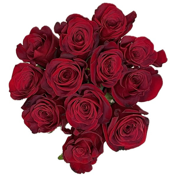 Roses - Dark Red Same-Day Delivery | Bristol Farms