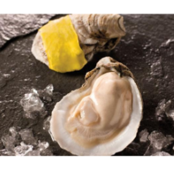 Fresh Oysters- Pacific Seafood - Medium Shucked - 1/2 gallon