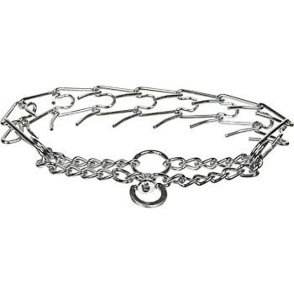 prong dog collar petco