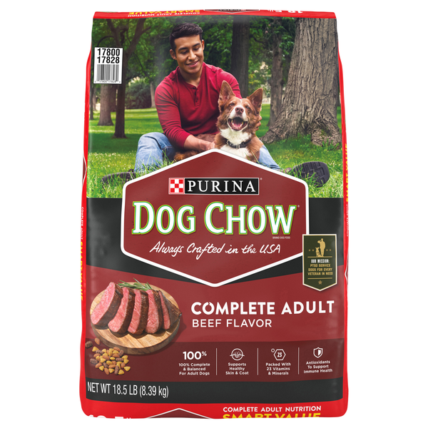 Are Dogs Allowed in Food Lion: Know the Rules