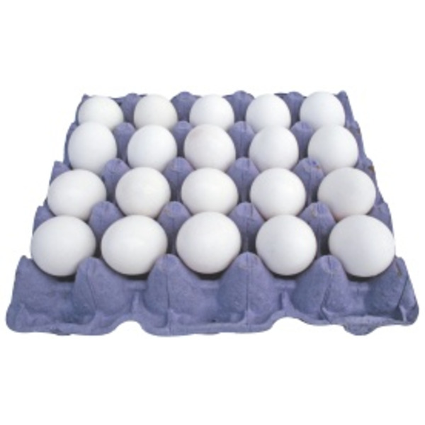 Sunshine Medium 20 Eggs