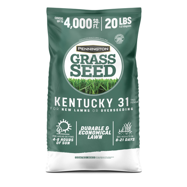 Pennington Kentucky 31 20-lb Tall Fescue Grass Seed