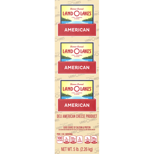 Land O Lakes Cheese Product, Deli American