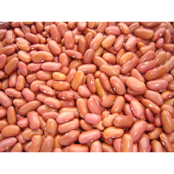 Light Red Kidney Beans - 25 lbs