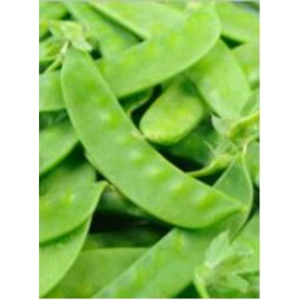 Snow Peas, 10 lb