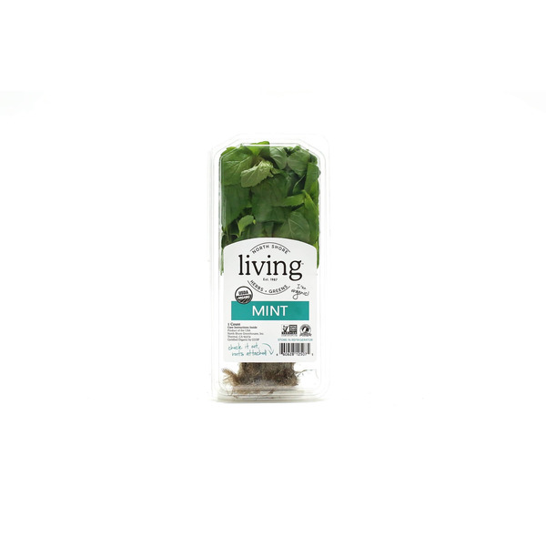 North Shore Living Mint
