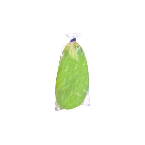 Whole Cactus