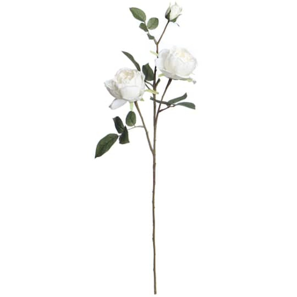 Ashland White Rose Stem
