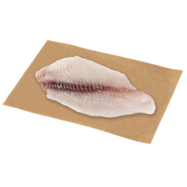 Fresh Catfish Fillet