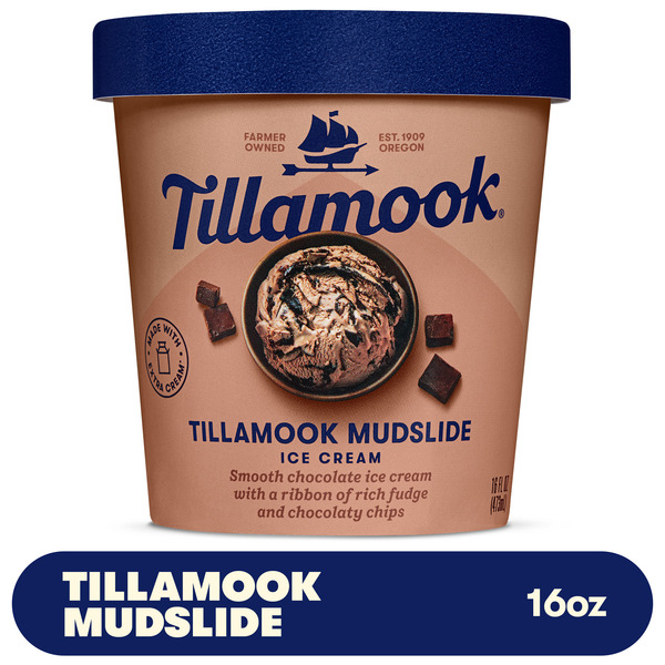 Tillamook Mudslide Ice Cream