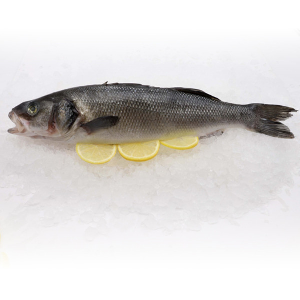 Frozen Sea Bass Branzino