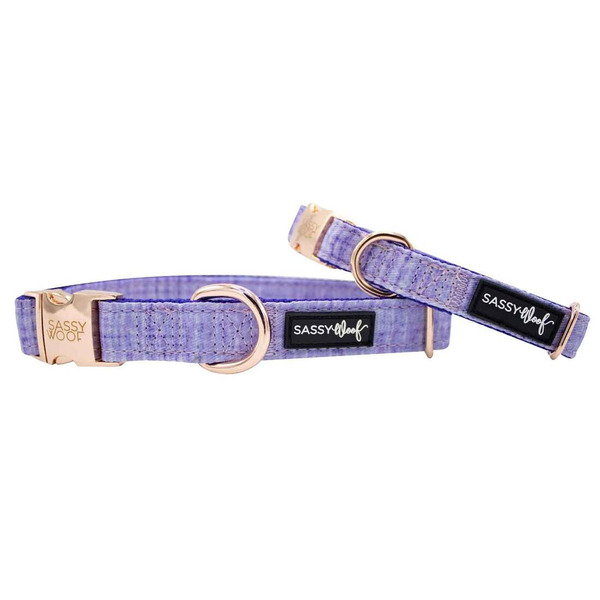 Sassy Woof Aurora Dog Collar, Large