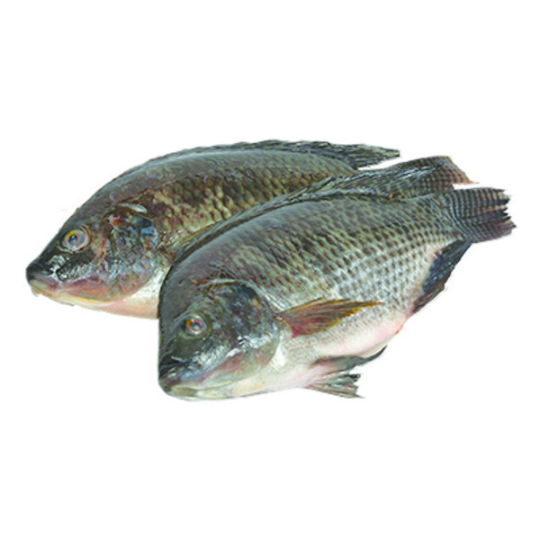 Cardenas Markets Whole CL Tilapia