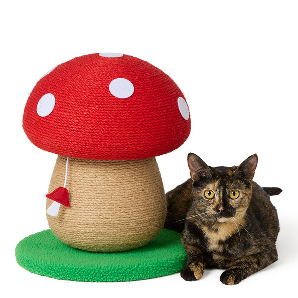 Whisker City Mushroom Cat Scratcher - Red