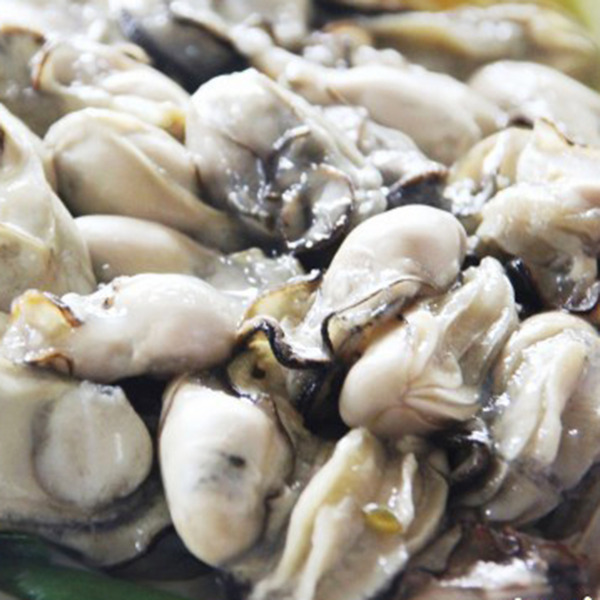 Tiny Oyster Meat Iqf-Korea