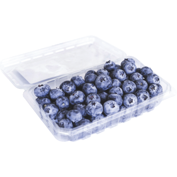 Jumbo Blueberries