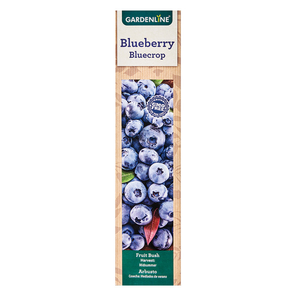 Gardenline Blueberry Bush Same-Day Delivery or Pickup | ALDI
