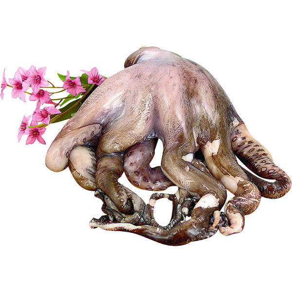 Cardenas Markets Raw Baby Octopus