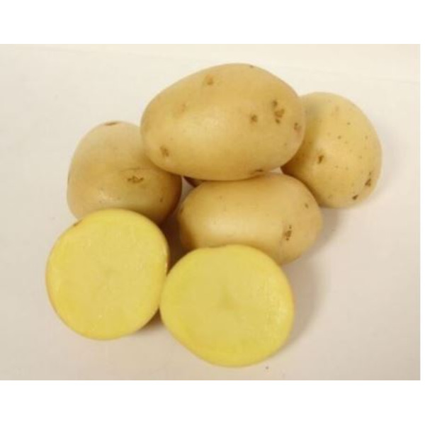 Yukon Gold Chef Potatoes