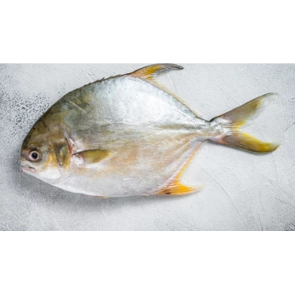 Refresh Whole Pompano 400/800g