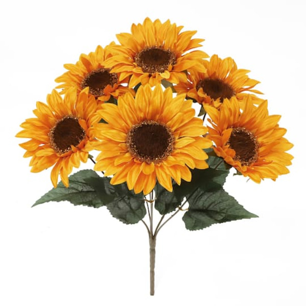 Ashland Sunflower Bush