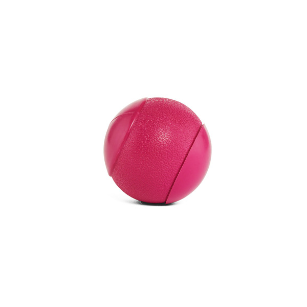 Leaps & Bounds Squeak Ball Dog Toy