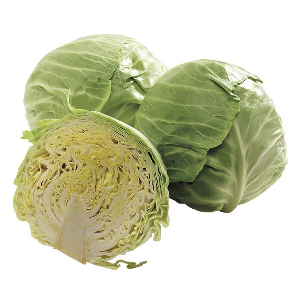 Nappa Cabbage