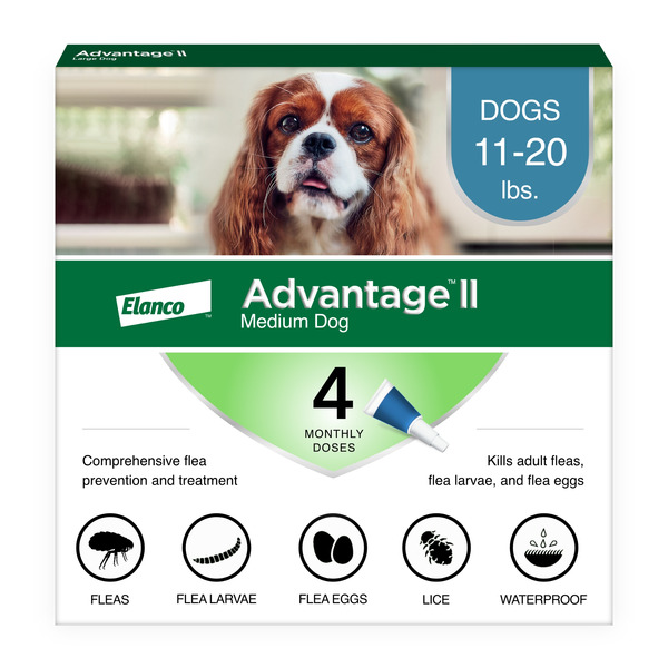 Advantage Flea Treatment & Prevention | Medium Dogs 11-20lbs