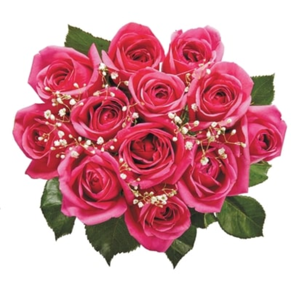 Real Canadian Superstore Roses - Assorted Colours Same-Day Delivery ...