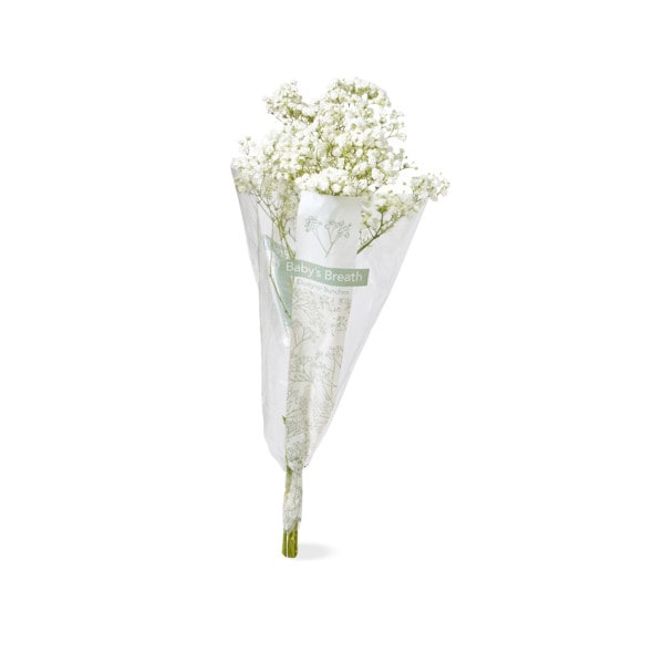 Baby's Breath Bunch Same-Day Delivery or Pickup | Publix