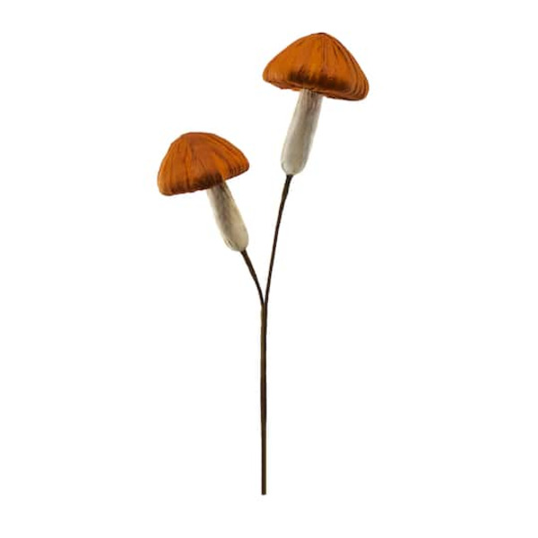 Ashland Mushroom Pick