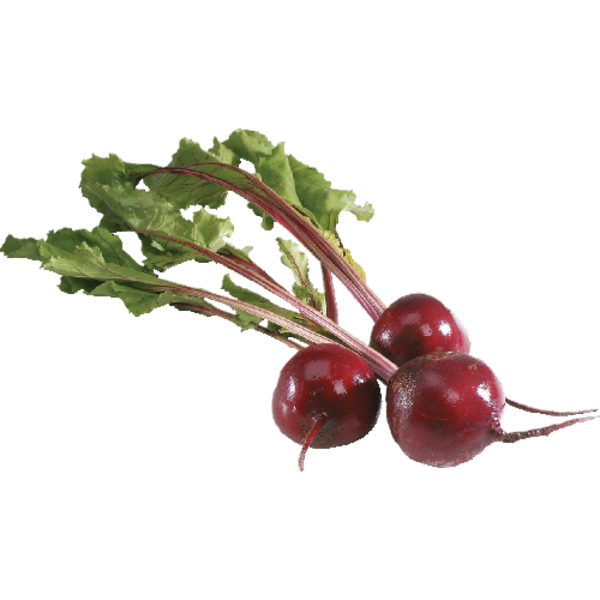 Organic Bunch Red Beets