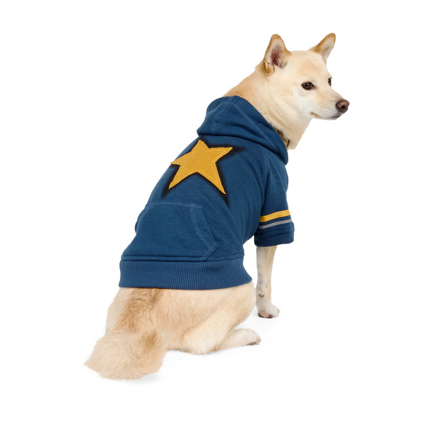 Reddy Star Pet Hoodie