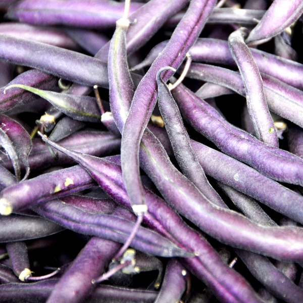 Purple Wax Beans