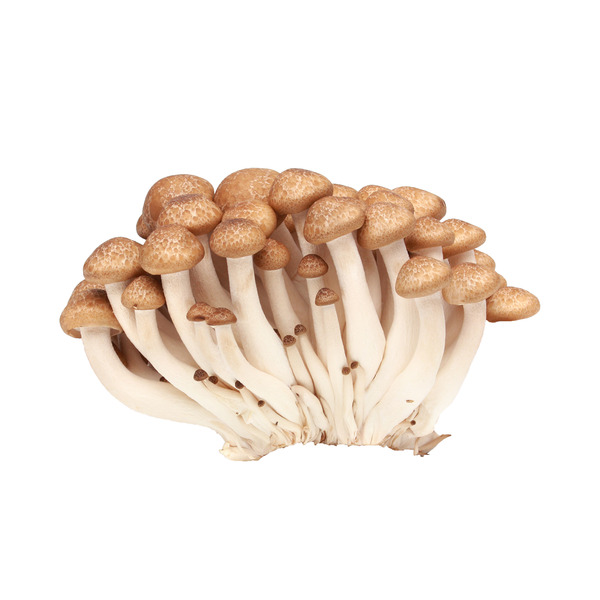 White Beech Mushrooms