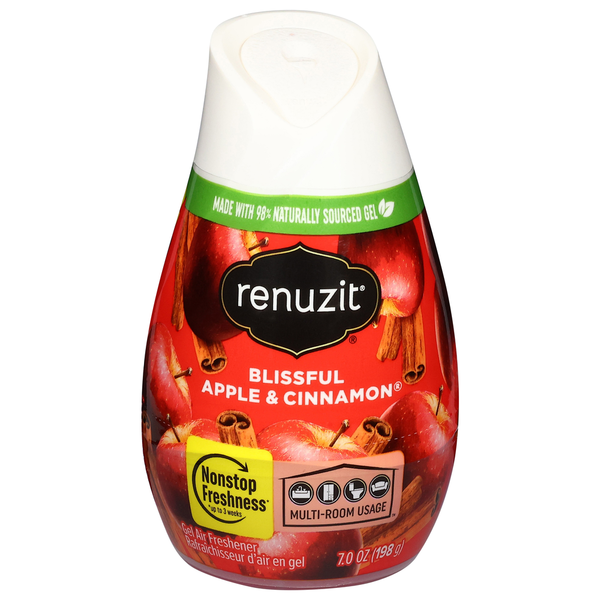Renuzit Gel Air Freshener, Apple & Cinnamon Same-Day Delivery or