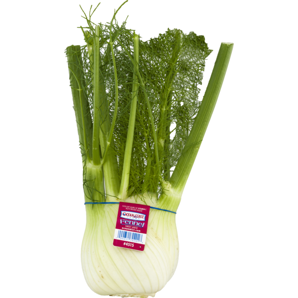 トップス fennel Ocean Mist Farms Fennel, Sweet Anise Same-Day Delivery or Pickup