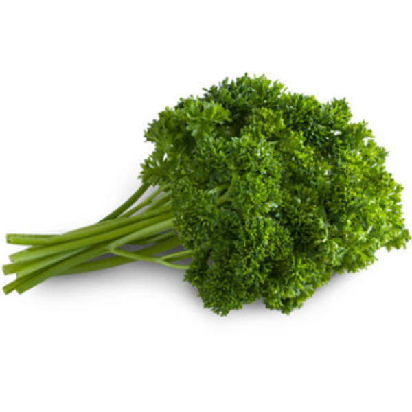 Curly Parsley Bunch