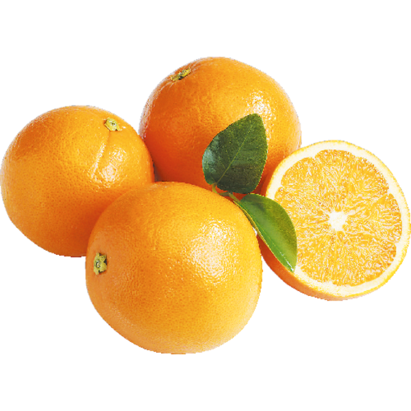 Valencia Orange