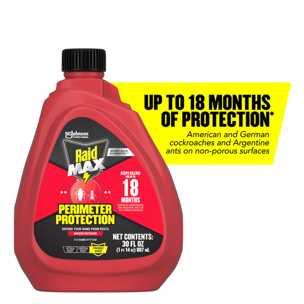Raid MAX Perimeter Protection Multi Insect Killer Spray for Indoor &  Outdoor Use Same-Day Delivery or Pickup | Tops Markets
