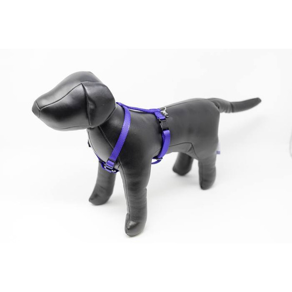 Play On Basic Adjustable Dog Harness, Small - Blue