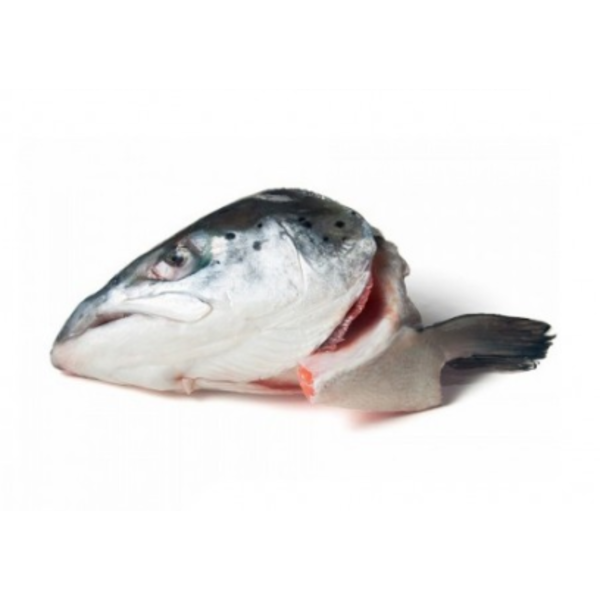 Salmon Heads