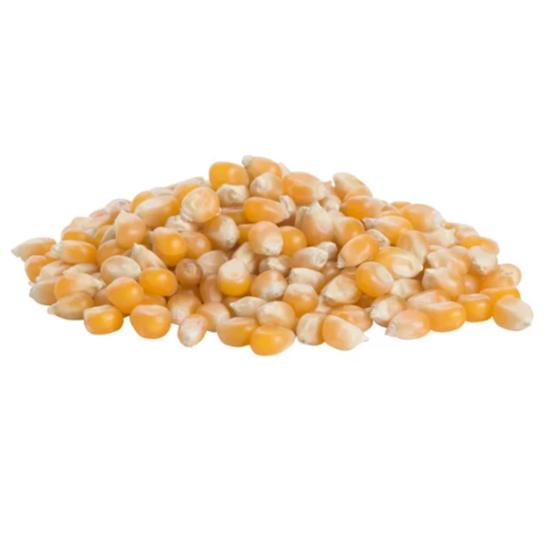 Heartland - Yellow Popcorn - 25 lb