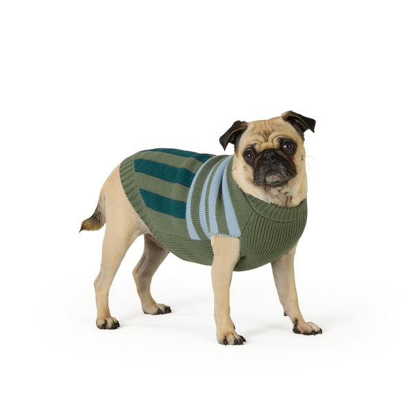 Top Paw Striped Dog Sweater, Large