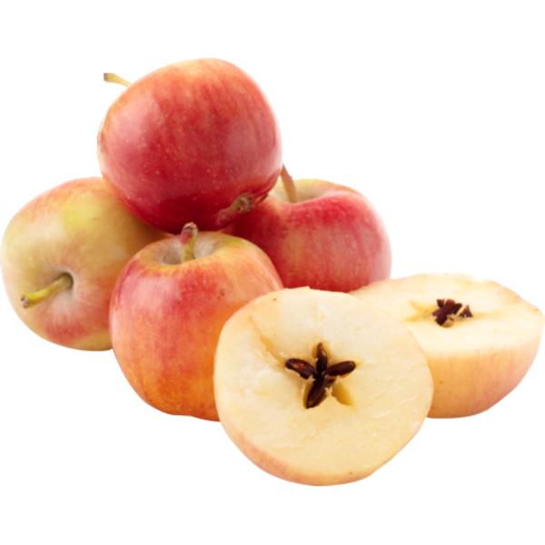 Apple - SON SON - Apple